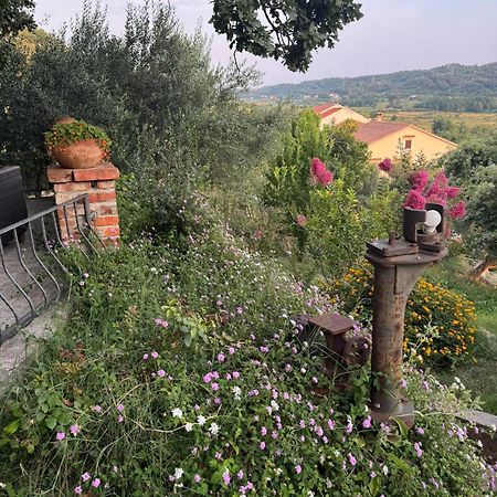 Apartments Dumicic Supetarska Draga Bagian luar foto
