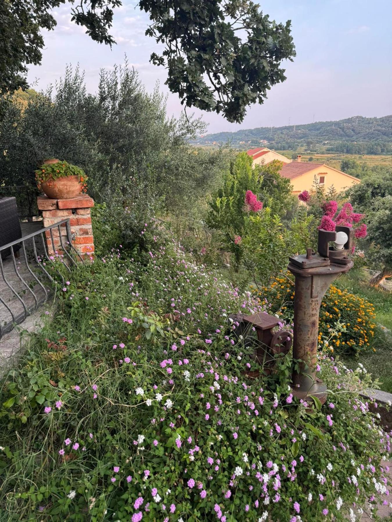 Apartments Dumicic Supetarska Draga Bagian luar foto