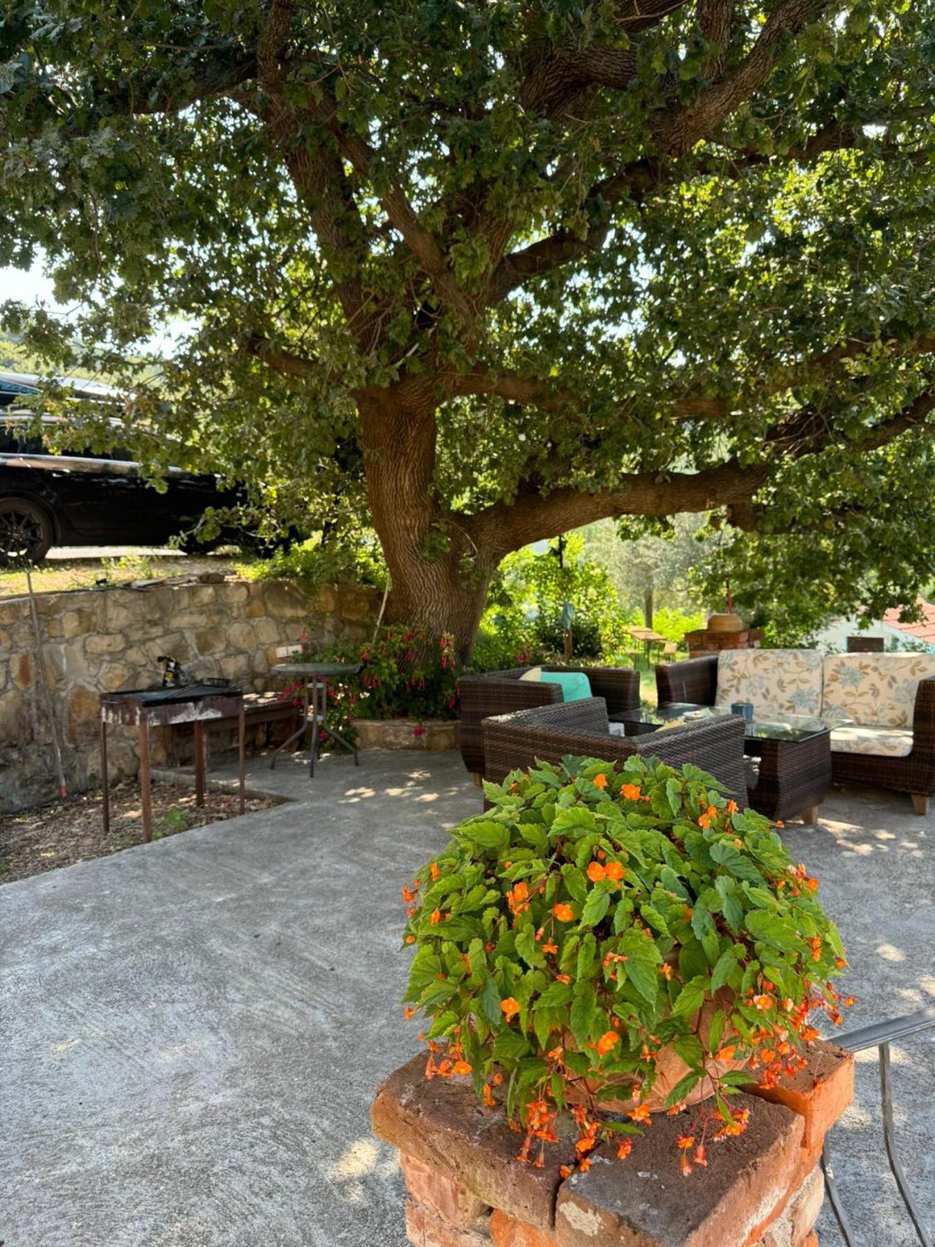 Apartments Dumicic Supetarska Draga Bagian luar foto